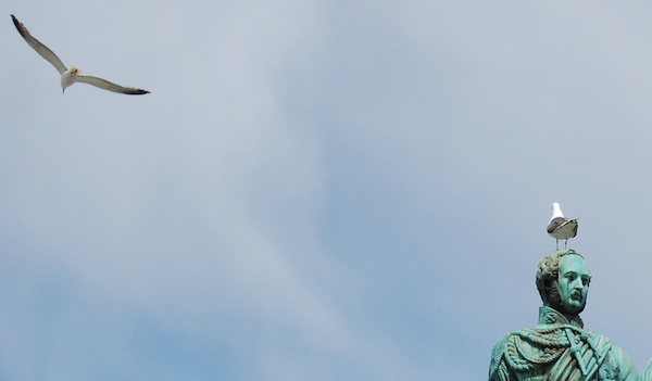 edinburgh-2014-16-600