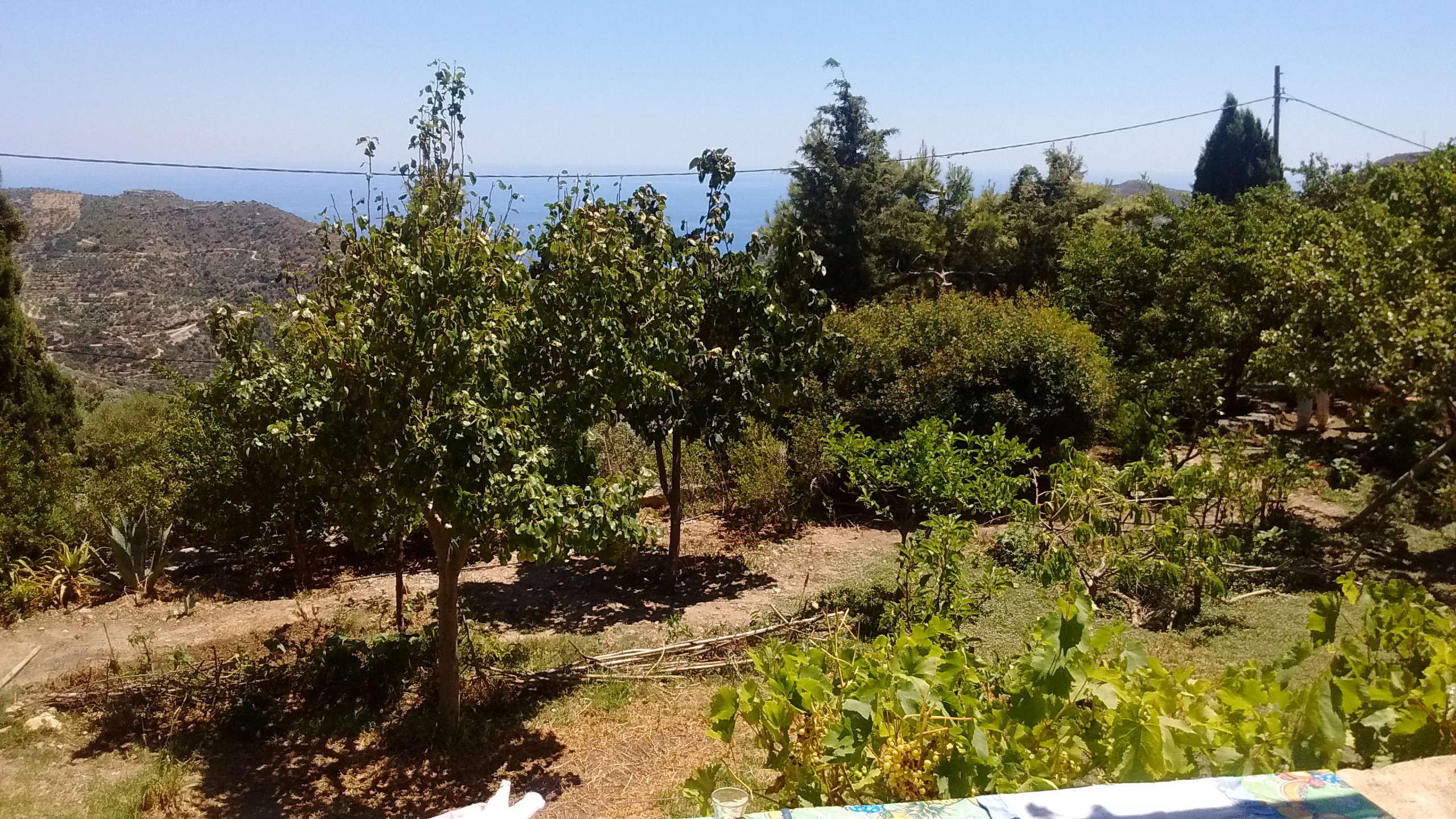 IMG_20170711_144358412