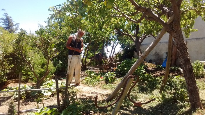 IMG_20170711_144437948