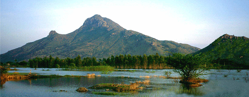 THE STORY OF ARUNACHALA (the story of Ramana Maharishi's experience of  Samadhi) | by Rohith Muthyala | Medium